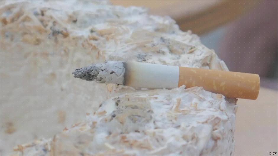 does cigarette bud decompose Are Butts Biodegradable? Brother sent me this photo,