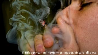 越来越多国家开始对大麻采取更为温和的立场