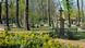 Geusenfriedhof in Köln Geusenfriedhof in Köln