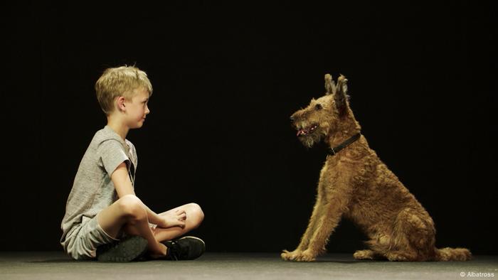 Niño y un perro