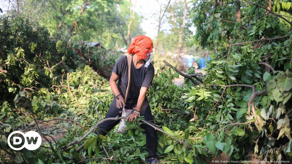 Mehr als 220 Menschen im Kampf für die Natur gestorben