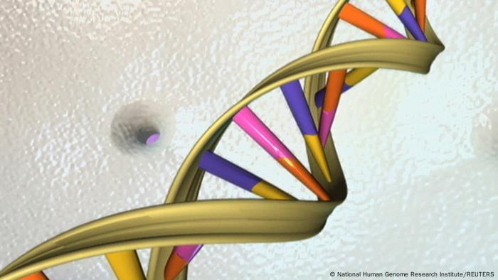 Double helix structure of DNA. Double helix structure of DNA.