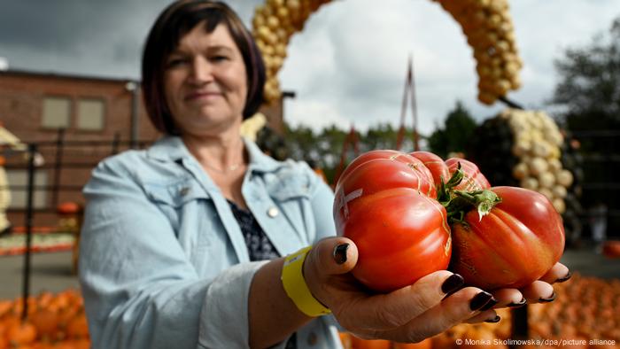 Giant tomato