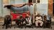 Afghanistan Bildergalerie Afghanistan Bildergalerie