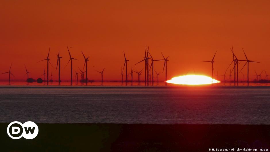 IEA predicts renewable energy to overtake coal by 2025