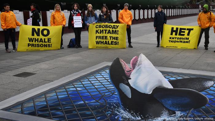 Greenpeace nimmt an Protestkundgebung zu Schutz von von Orcas und Walen in Wladiwostok teil