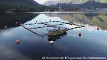 Lachsfarm Puyuhuapi
Lachsfarm in Puyuhuapi. Dorf, Bucht und Fjord Puyuhuapi. Region Aysen, Patagonien, Chile.
September 2021
Foto Copyright: Movimiento #PuyuhuapiSinSalmoneras