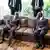 Les chefs d'Etat ivoirien Alassane Ouattara et ghanéen Nana Akufo-Addo ici à Conakry (Archives - Conakry, 17.09.2021)