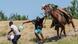 Guarda americano em cima de um cavalo puxa pela camisa um migrante que corre com sacolas na mão, nas margens do Rio Grande, na fronteira dos EUA com o México Guarda americano em cima de um cavalo puxa pela camisa um migrante que corre com sacolas na mão, nas margens do Rio Grande, na fronteira dos EUA com o México