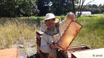 Paula Gioia taking out a honeycomb from one of her beehives.