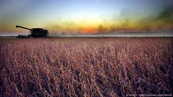 Alimentos transgênicos: vilões ou salvadores do clima?