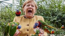 Angela Merkel (CDU), Bundeskanzlerin, füttert australische Loris im Vogelpark Marlow und wird dabei gebissen.