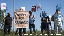 Brumadinho: abre juicio contra consultora alemana por derrumbe de dique minero en Brasil