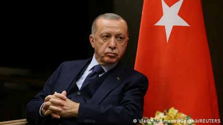 Популярността на Ердоган спада а инфлацията се покачва Носят се