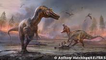 The meat-eating dinosaurs Ceratosuchops inferodios, in the foreground, and Riparovenator milnerae, in the background are seen in an undated artist's rendition. Fossils of these two Cretaceous Period dinosaurs were discovered on England’s Isle of Wight. Anthony Hutchings/Handout via REUTERS. NO RESALES. NO ARCHIVES. THIS IMAGE HAS BEEN SUPPLIED BY A THIRD PARTY.