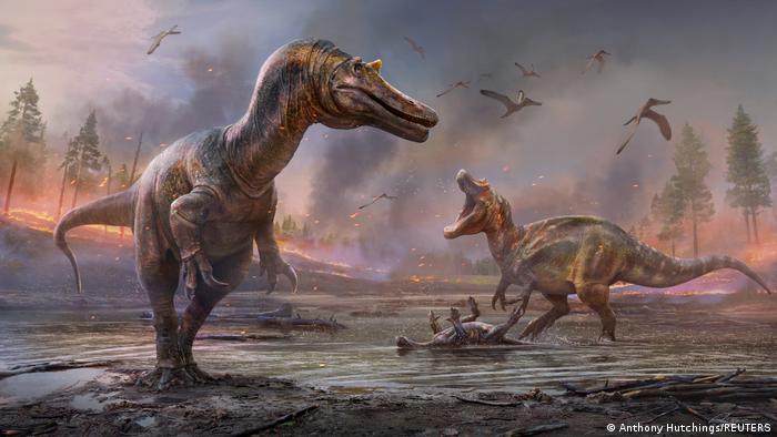 Identifican en Inglaterra los restos fósiles de dos temibles dinosaurios  antes desconocidos | Ciencia y Ecología | DW 