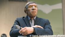 Mit einem grauen Anzug und weißen Turnschuhen ist der Neandertaler im Museum Mettmann ausgestattet, in der Hand das Steinmesser. Anlass für das neue Outfit ist der 25. Geburtstag des Museums. +++ dpa-Bildfunk +++
