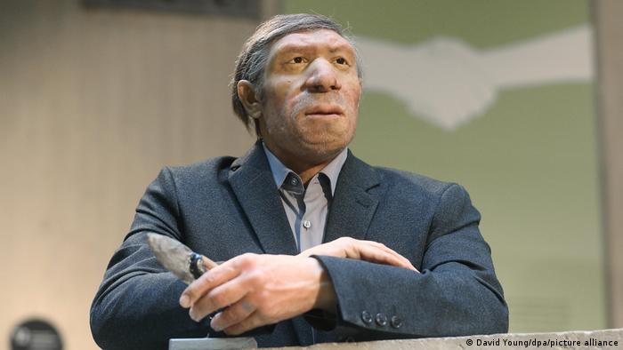 Ovo je neandertalac - eksponat u muzeju u Metmanu u Severnoj Rajni Vestfaliji. Povodom 25 godina muzeja, neko je došao na ideju da mu obuče odelo i obuje mu bele patike. U rukama drži svoje glavno oruđe. 