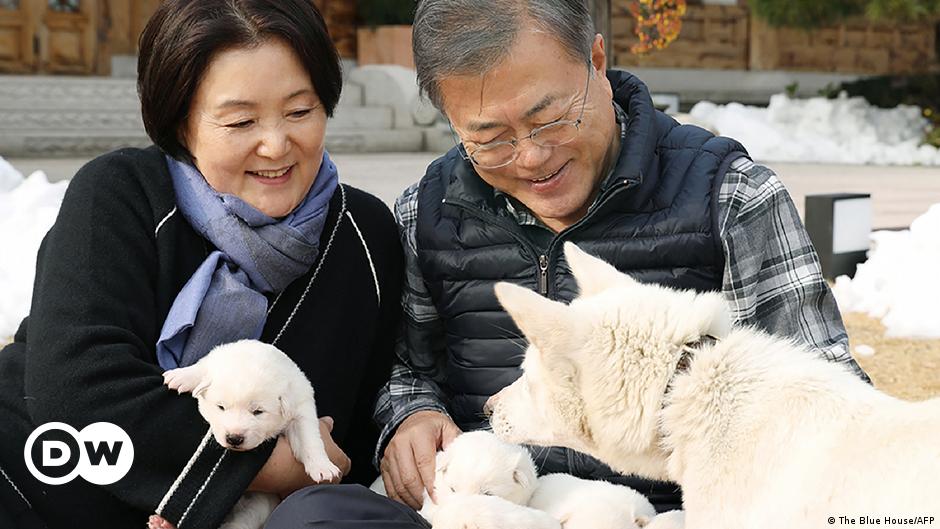 Presidente surcoreano plantea que se prohíba el consumo de carne de perro |  El Mundo | DW | 01.10.2021