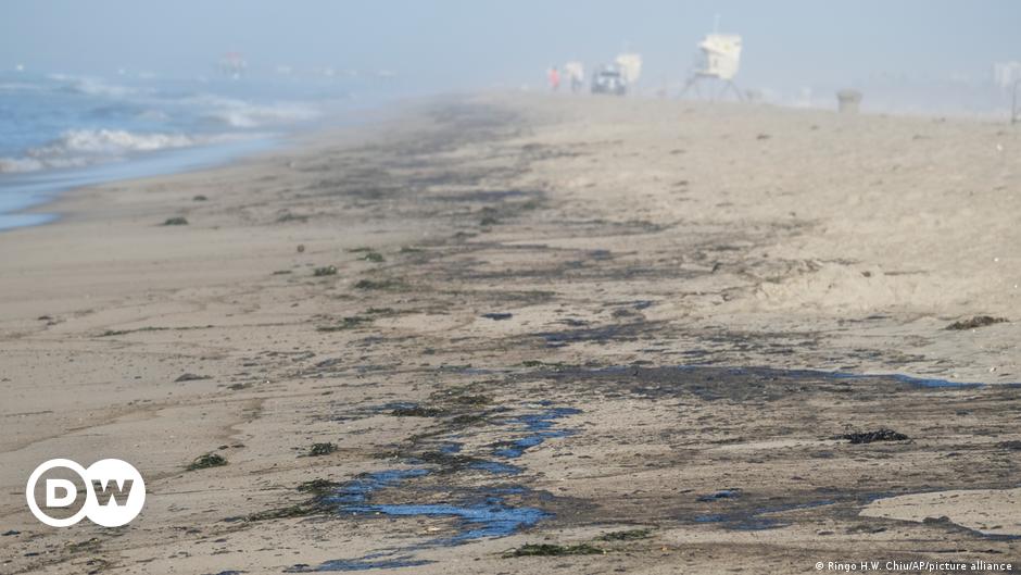 Oil spill hits California beaches after pipeline breach | DW | 03.10.2021