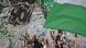 2. Bundesliga | Werder Bremen - 1. FC Heidenheim | Fankurve 2. Bundesliga | Werder Bremen - 1. FC Heidenheim | Fankurve