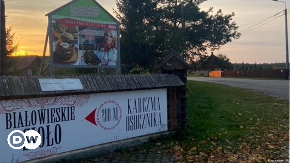 Kryzys na granicy białoruskiej uderza w polską firmę |  Biznes |  Wiadomości gospodarcze i finansowe z perspektywy niemieckiej |  DW