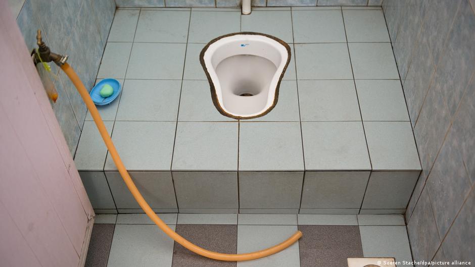 Your car hosts more germs than your toilet seat, research shows | Science | In-depth reporting on science and technology | DW - Vimarsana News