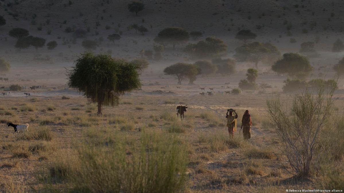 Sahel region DW