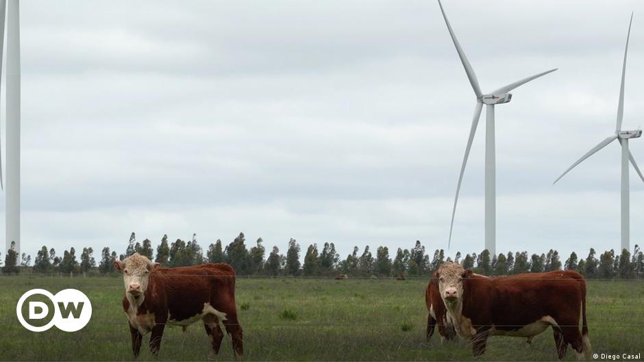 Uruguay ist Pionier in Sachen "grüner Strom"
