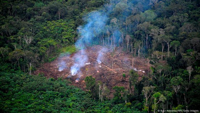 Incendio por tala indiscriminda en el Amazonas.