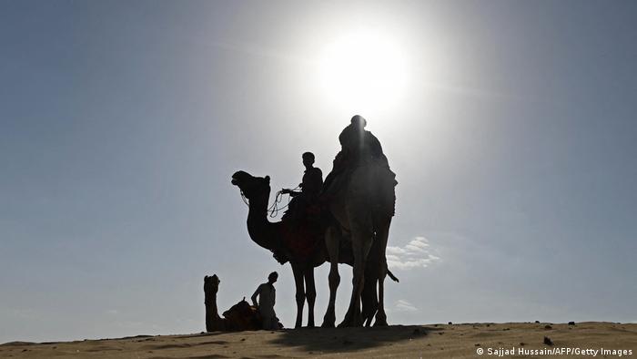 Jahanje na kamilama, ručak u pustinji, spavanje u šatorima… Da li biste voleli da provedete vikend u pustinji Tar? Ovi vodiči i njihove kamile već vas čekaju u blizini sela Sam, u indijskoj državi Radžastan. 