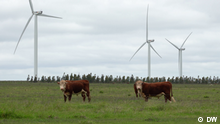 Uruguay leads green energy charge in Latin America