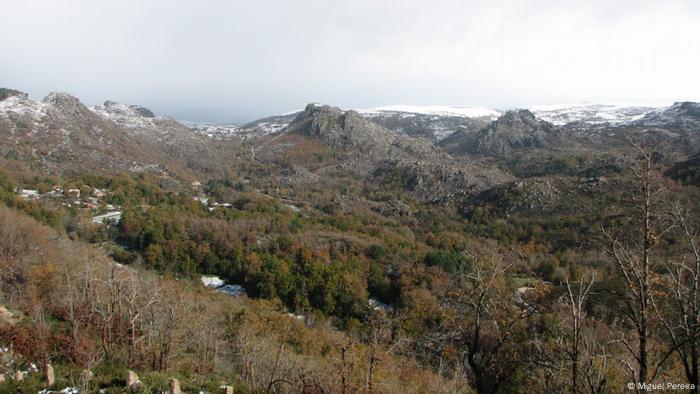 A view of rewilded fields in Peneda-Gerês-National Park