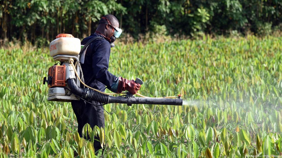 Homem aplica pesticida em plantação