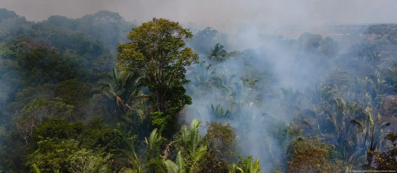 Amazônia: Desmatamento tem segunda maior cifra da série, diz Inpe