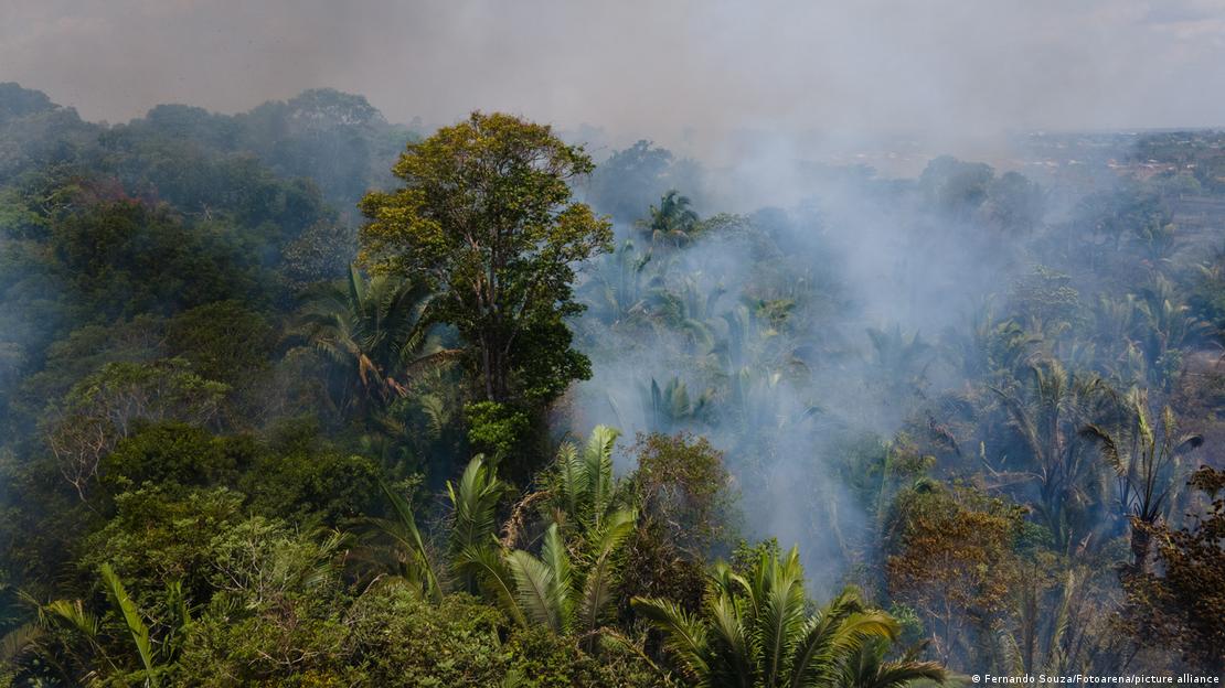 Fumaça sai de dentro de uma área densa de floresta na região amazônica.
