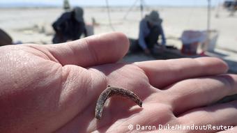A duck wishbone is seen in the palm of archaeologist Daron Duke's hand