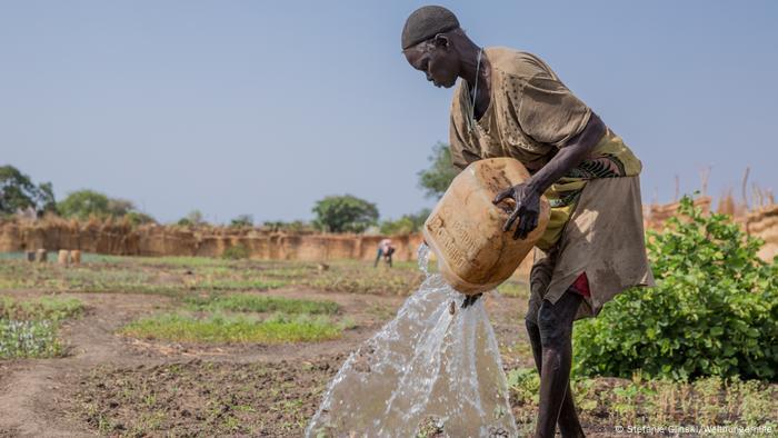 A farmer watering plants