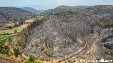 An aerial photo shows destruction by wildfires near the Mediterranean coastal town of Manavgat, Antalya, Turkey, Friday, July 30, 2021. The death toll in a string of wildfires raging in southern Turkey rose to four, officials said Friday, as fire crews continued to battle blazes that burned down homes and forced people to evacuate settlements and beach resorts. Firefighters were still tackling wildfires in 14 locations in six provinces in Turkey's Mediterranean and southern Aegean region, President Recep Tayyip Erdogan told reporters. (AP Photo)