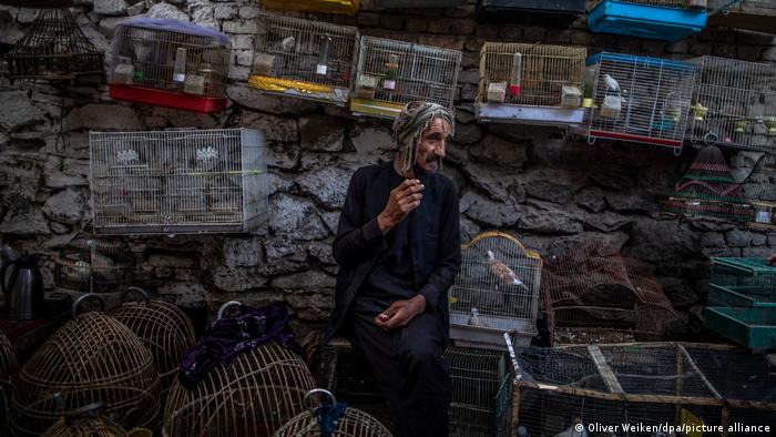 تصویری از یک پرنده فروش در بازار کابل که همچنان در انتظار مشتری نشسته و کشیدن سیگار دلخوشی او است. بسیاری از کارها در افغانستان ممنوع شده است، شاید طالبان چندی بعد داشتن پرنده خانگی را نیز ممنوع سازند.