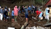 На острові Балі стався землетрус: є жертви