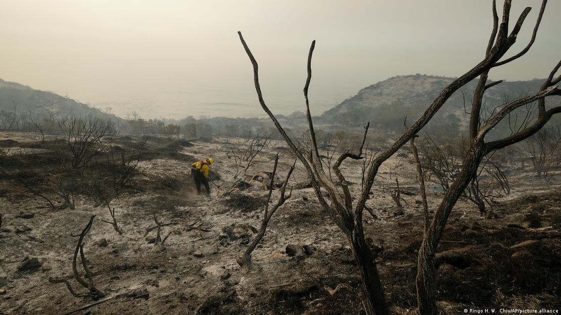 Yanan bir ormandan geriye kalan çorak manzara ve ortasında bir itfaiye görevlisi