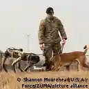 Fabricante militar presenta perro robot armado con un rifle – DW –  18/10/2021