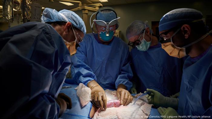 Órgão cumpriu as funções esperadas de um rim transplantado