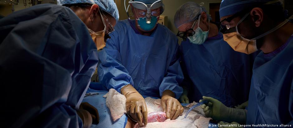 Órgão cumpriu as funções esperadas de um rim transplantado