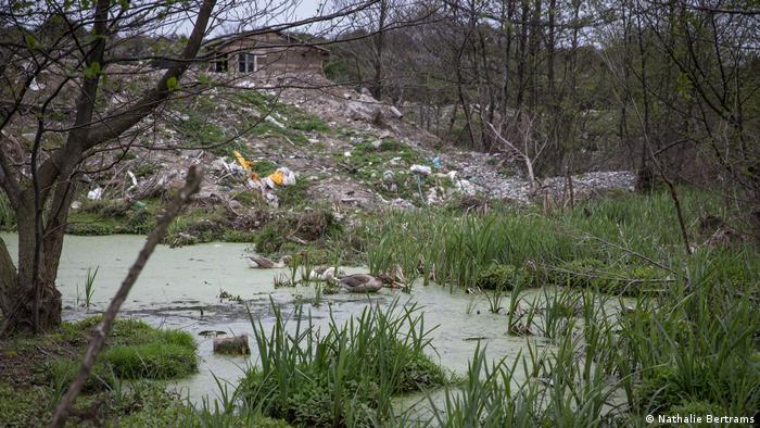 Eine grüne Wasserlache neben einer Mülldeponie in Georgien
