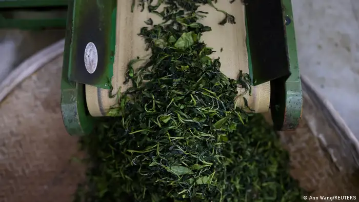 发酵过程中，时机最为关键。茶叶颜色是风味是否最佳的指标。在上市前，手工茶叶生产包括了好几道步骤。