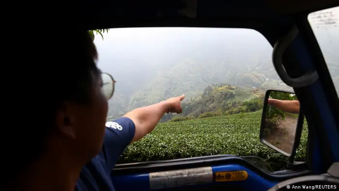 钱顺义在导览自家茶园时，不停强调气候条件如何深刻影响茶树生长。但气候变迁是否直接导致台湾茶乡的情形，目前尚未确切证实。