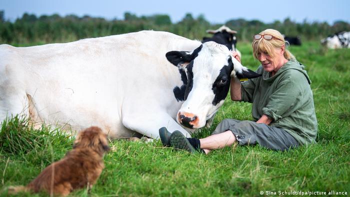 Una señora sentada en el campo junto a una vaca y un perro.