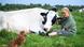 A woman sits with a cow and a dog on the meadow of Butenland Farm in Germany A woman sits with a cow and a dog on the meadow of Butenland Farm in Germany